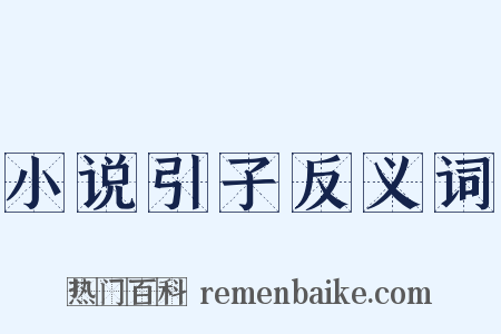 小说引子反义词是什么意思的图片